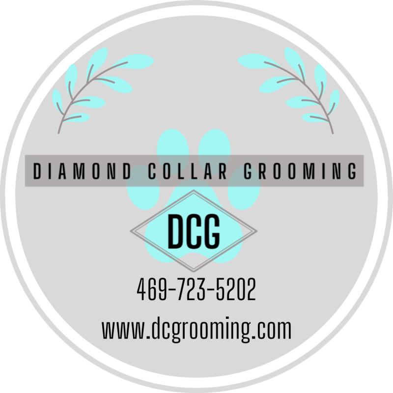 Diamond Collar Grooming